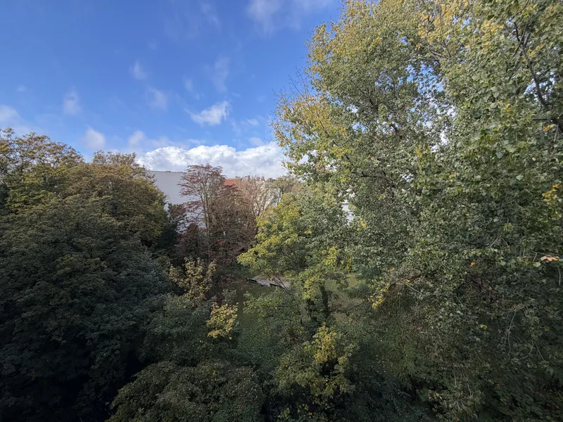 Alltagstaugliche 2-Zimmer-Wohnung in zentraler Lage von Tiergarten — photo 1